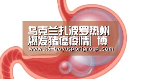 乌克兰扎波罗热州爆发猪瘟疫情| 博鱼官网(图3) boyu tiyu