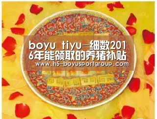  博鱼官网