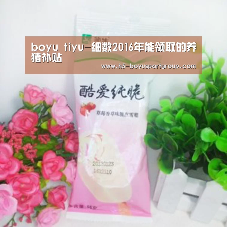  博鱼官网